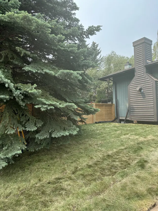 Front yard before work began