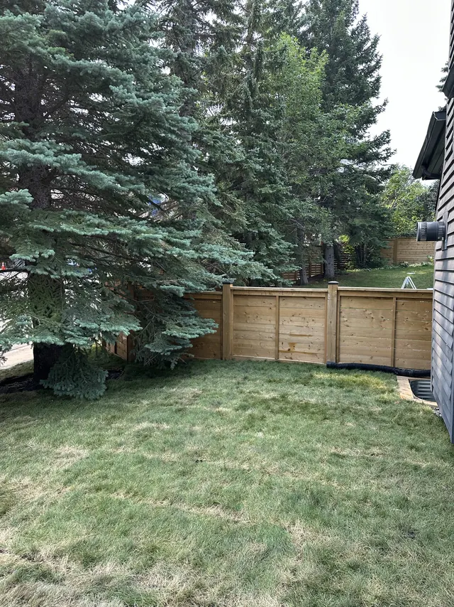Rear yard before work began