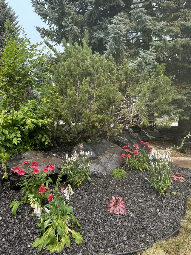 Flowering planted bed set in rock mulch