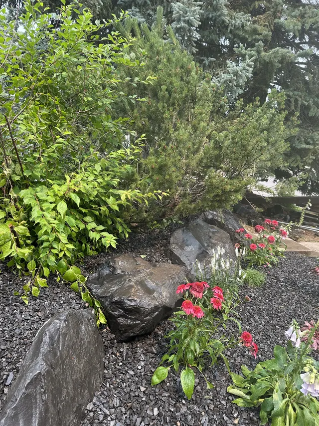 Planted bed with boulders and mixed perennials