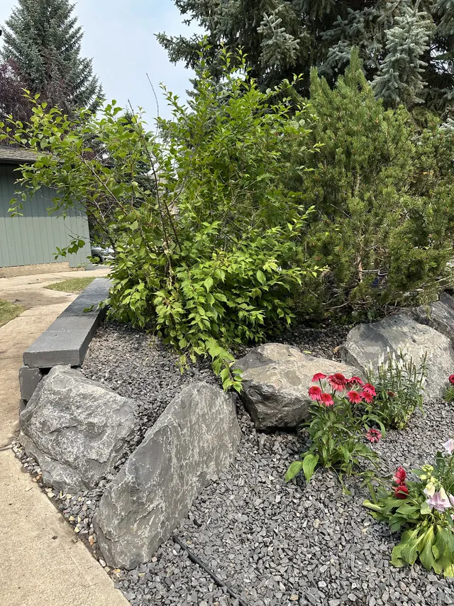 Boulder and perennial bed on a slope