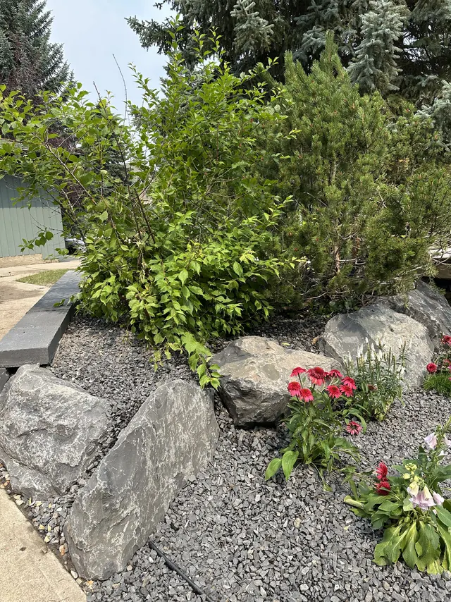 Planted bed with boulders and flowering perennials