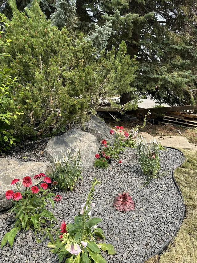 Perennial bed in rock mulch