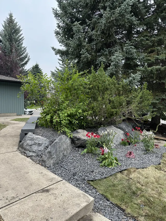 Planted bed running beside a walkway